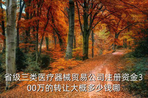 省级三类医疗器械贸易公司注册资金300万的转让大概多少钱哪