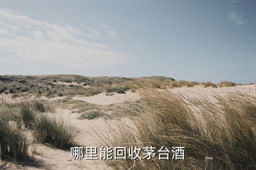 哪里能回收茅台酒