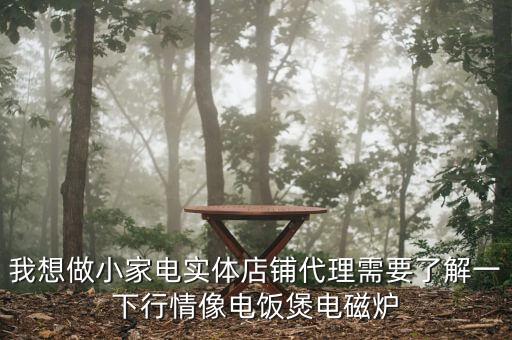 家电加盟代理赚钱吗，集成灶代理赚不赚钱啊