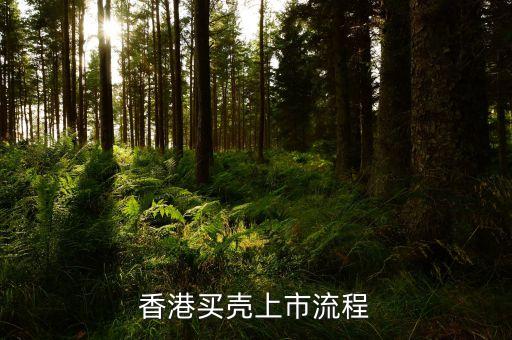香港买壳上市流程