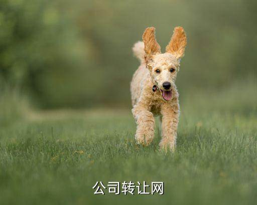 公司转让网
