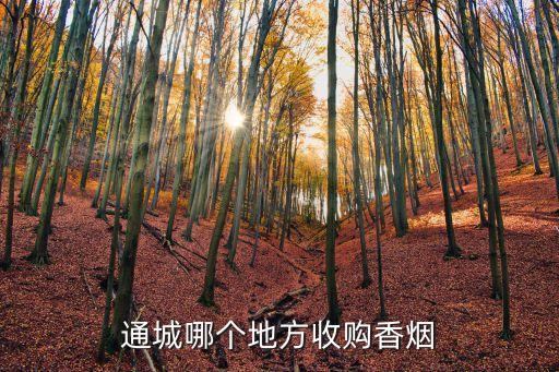 通城哪个地方收购香烟