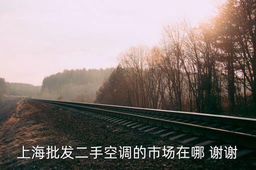 上海最大的二手家电交易市场，上海最大二手家电市场在哪里