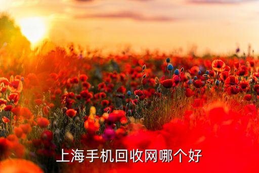 上海二手回收平台，上海哪里可以回收二手的奢侈品