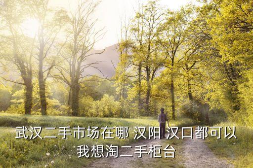武汉二手市场在哪 汉阳 汉口都可以我想淘二手柜台