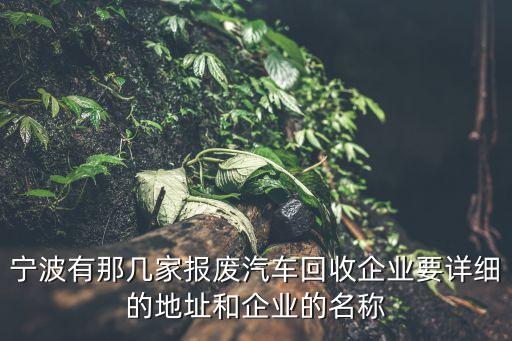 宁波有那几家报废汽车回收企业要详细的地址和企业的名称