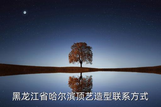 黑龙江省哈尔滨顶艺造型联系方式