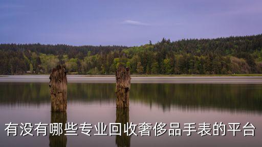 有没有哪些专业回收奢侈品手表的平台