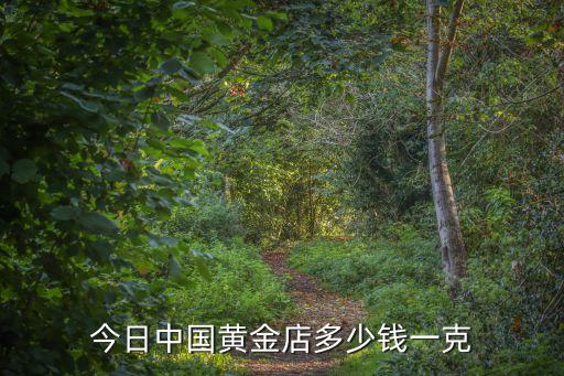 今日中国黄金店多少钱一克