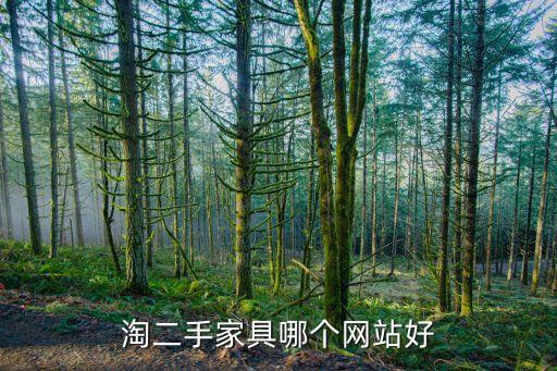 淘二手家具哪个网站好
