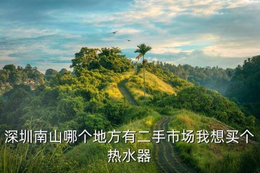 深圳南山哪个地方有二手市场我想买个热水器