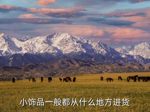 小饰品一般都从什么地方进货