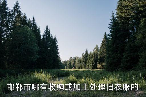 邯郸市哪有收购或加工处理旧衣服的