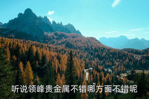 听说领峰贵金属不错哪方面不错呢