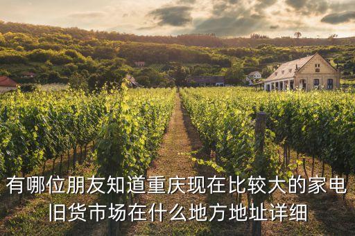 有哪位朋友知道重庆现在比较大的家电旧货市场在什么地方地址详细