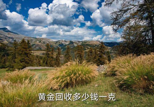 黄金回收多少钱一克