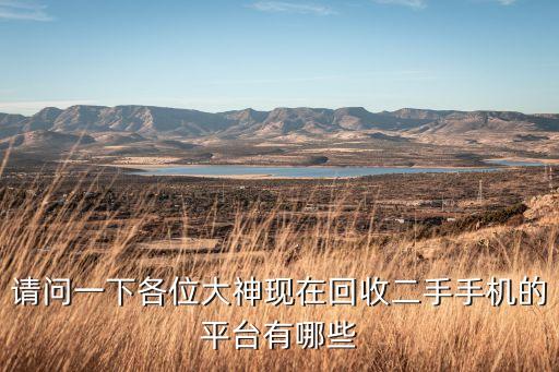 回收二手手机的软件有哪些好用，请问一下各位大神现在回收二手手机的平台有哪些