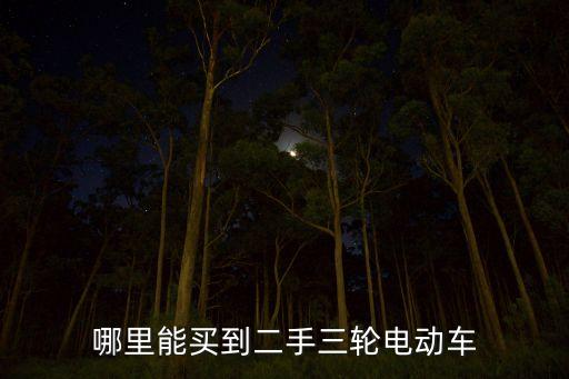 哪里能买到二手三轮电动车