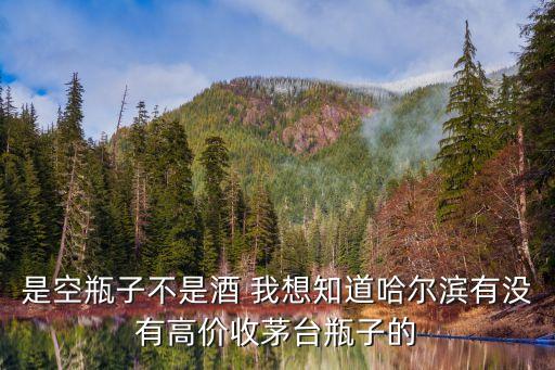是空瓶子不是酒 我想知道哈尔滨有没有高价收茅台瓶子的