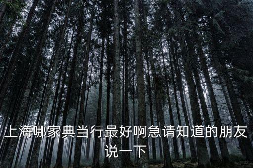 上海哪家典当行最好啊急请知道的朋友说一下