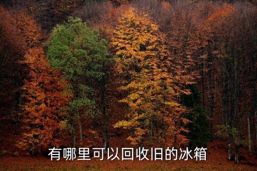 有哪里可以回收旧的冰箱