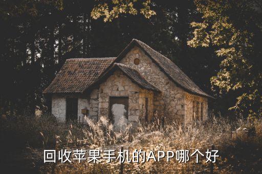 回收app哪个好，什么软件回收手机价格高