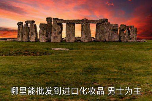 哪里能批发到进口化妆品 男士为主