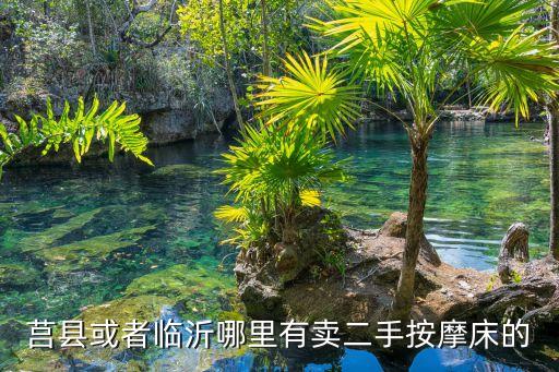 莒县或者临沂哪里有卖二手按摩床的