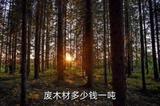 废木材多少钱一吨