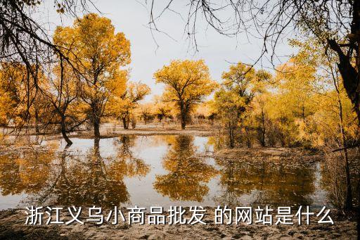 浙江义乌小商品批发 的网站是什么