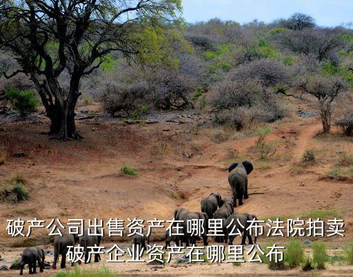 破产公司出售资产在哪里公布法院拍卖破产企业资产在哪里公布