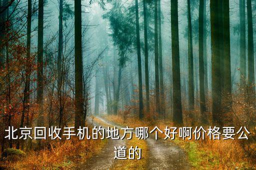 北京回收手机的地方哪个好啊价格要公道的