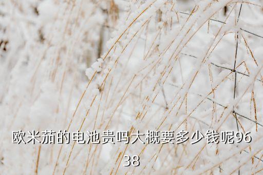 欧米茄的电池贵吗大概要多少钱呢9638