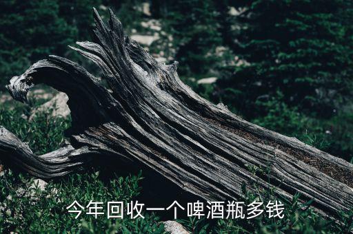 今年回收一个啤酒瓶多钱