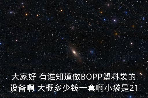 大家好 有谁知道做BOPP塑料袋的设备啊 大概多少钱一套啊小袋是21