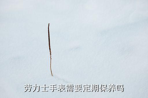劳力士手表需要定期保养吗