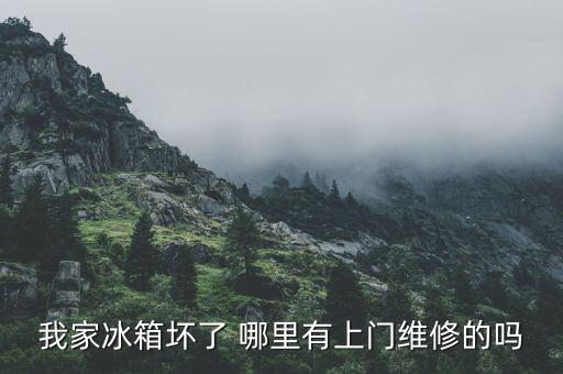 我家冰箱坏了 哪里有上门维修的吗