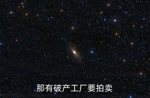 那有破产工厂要拍卖