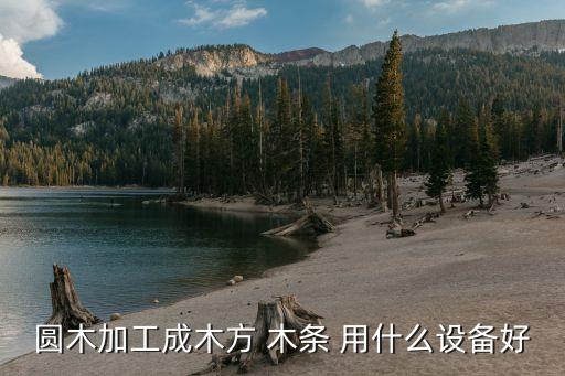 圆木加工成木方 木条 用什么设备好
