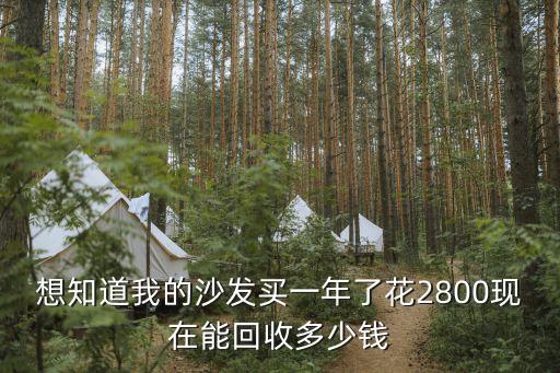 想知道我的沙发买一年了花2800现在能回收多少钱