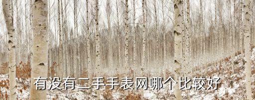 有没有二手手表网哪个比较好