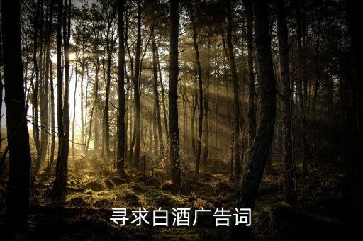 寻求白酒广告词