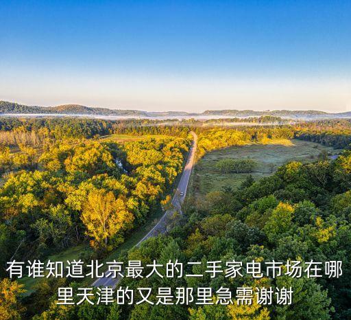 北京最大的旧货家电市场，有谁知道北京最大的二手家电市场在哪里天津的又是那里急需谢谢