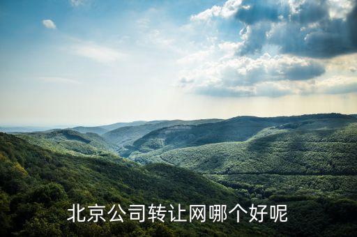 北京公司转让网哪个好呢
