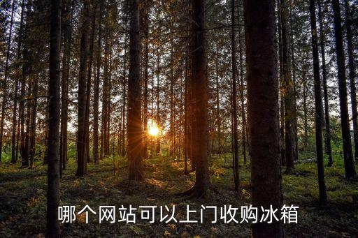 旧家电回收上门平台，哪里可以回收废旧电器