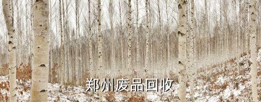 郑州旧货市场回收电话是多少号，郑州回收网吧二手电脑的手机是15515941594
