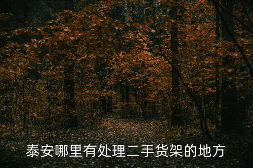 泰安哪里有处理二手货架的地方