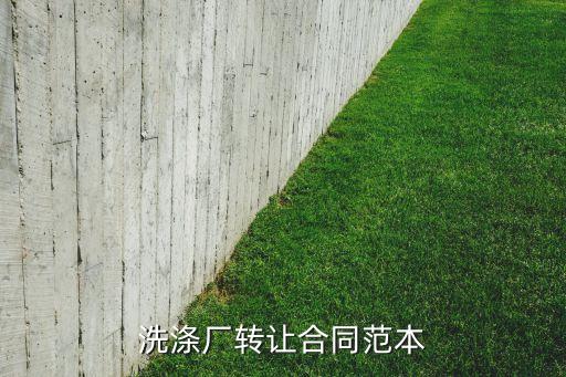 洗涤厂转让合同范本