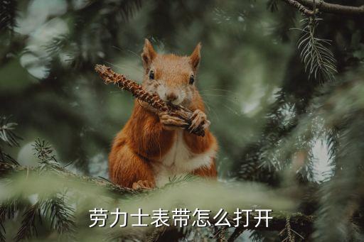 劳力士手表怎么开表链，劳力士表怎么打开表链