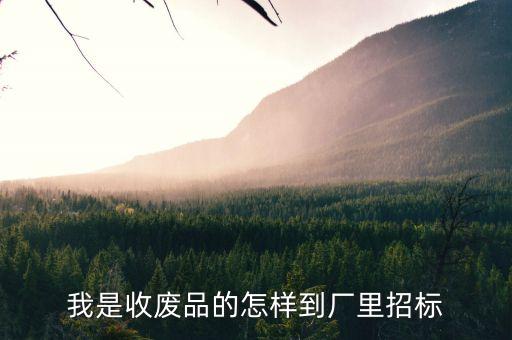 废品竞标平台，谁知道塔西南废品招标的网址是什么